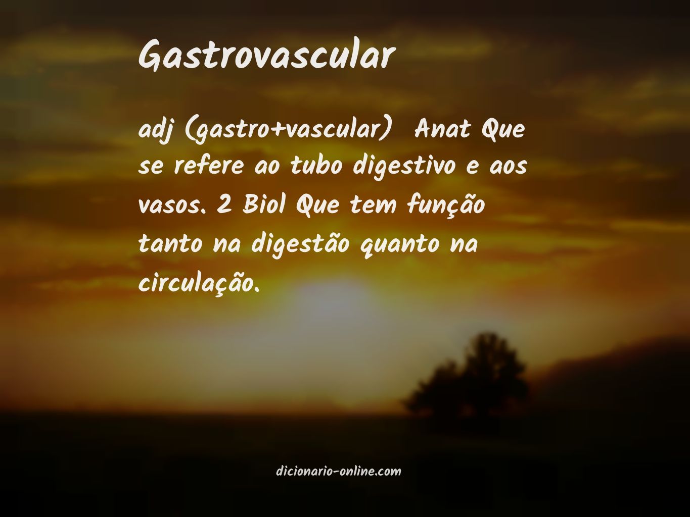 Significado de gastrovascular