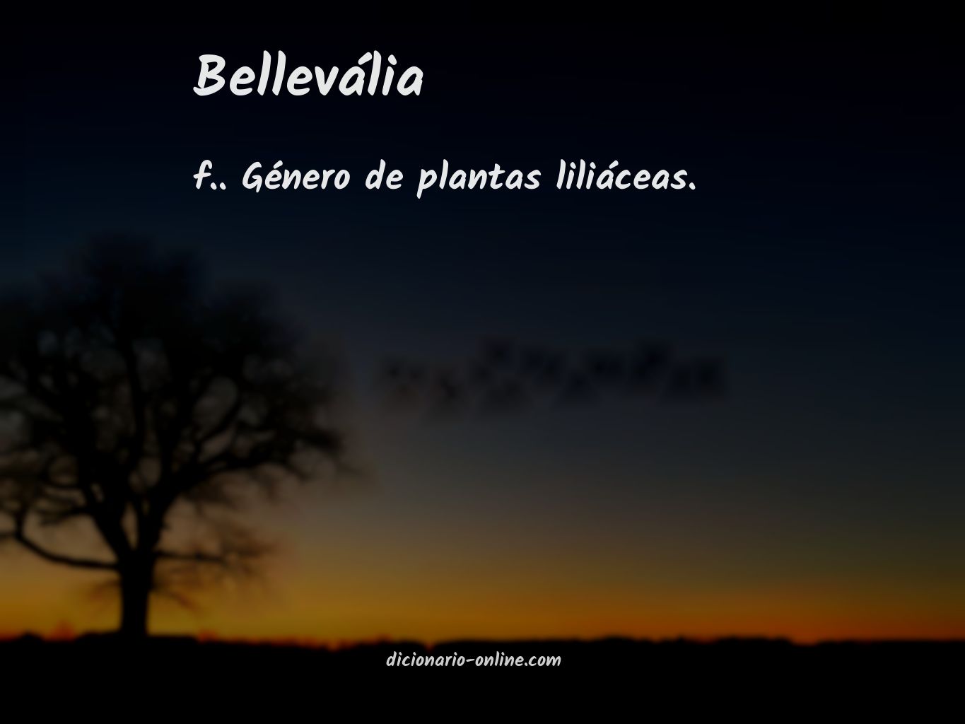 Significado de bellevália