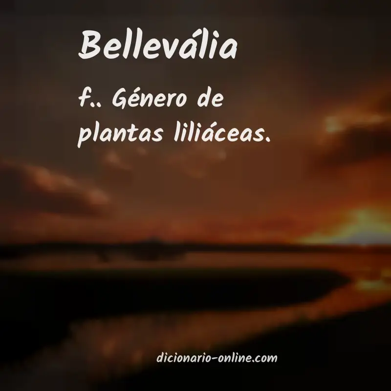 Significado de bellevália