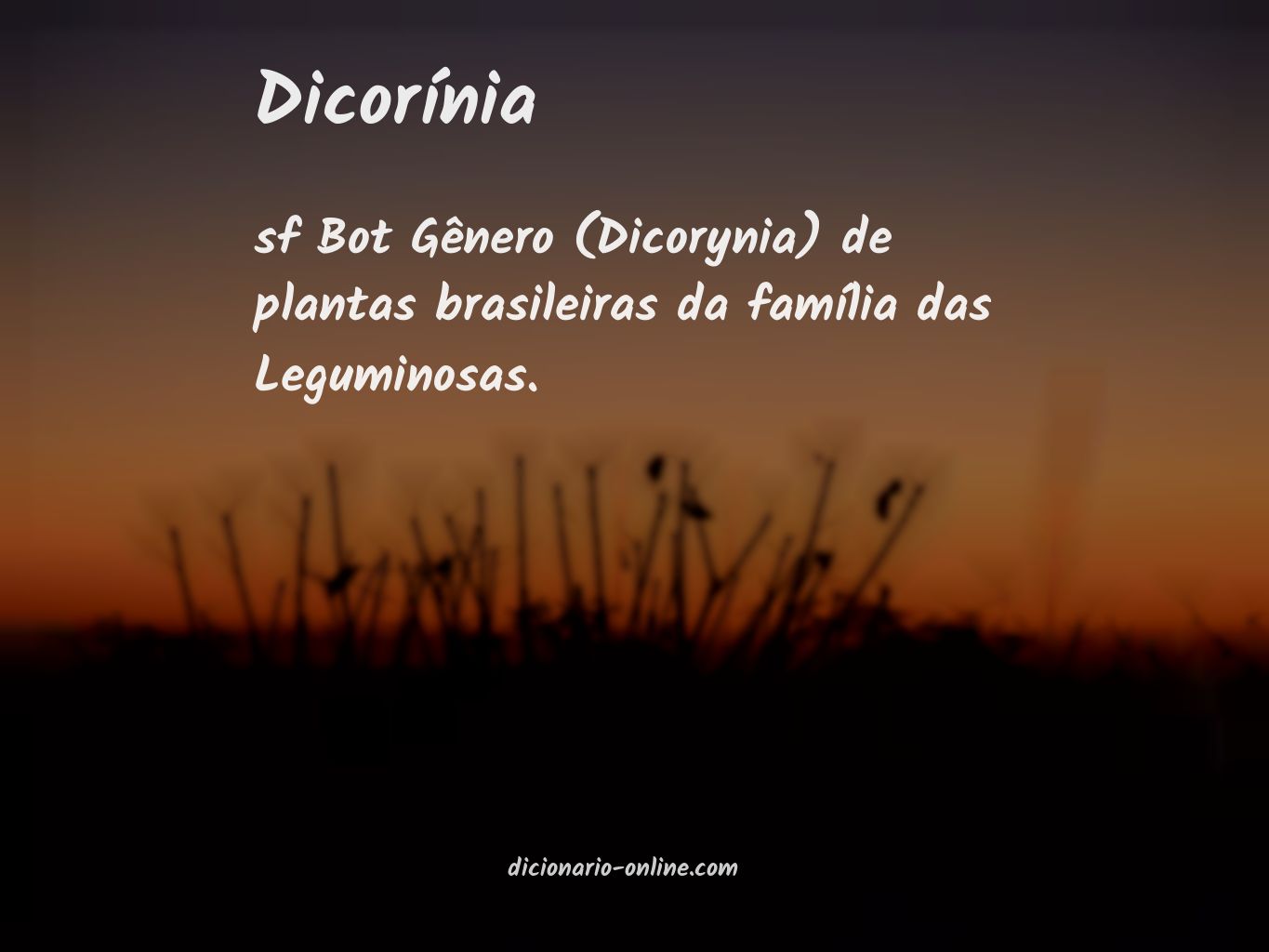 Significado de dicorínia