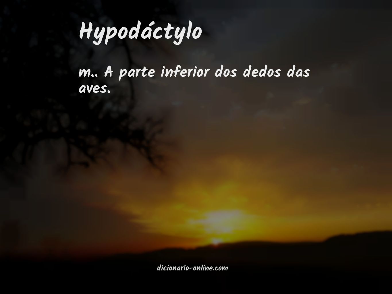 Significado de hypodáctylo