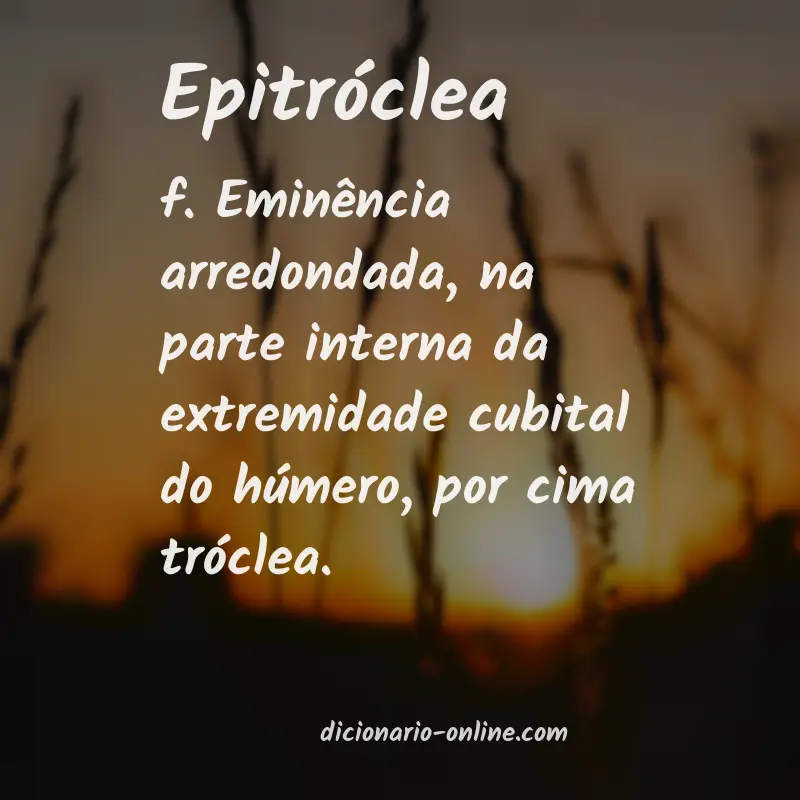 Significado de epitróclea