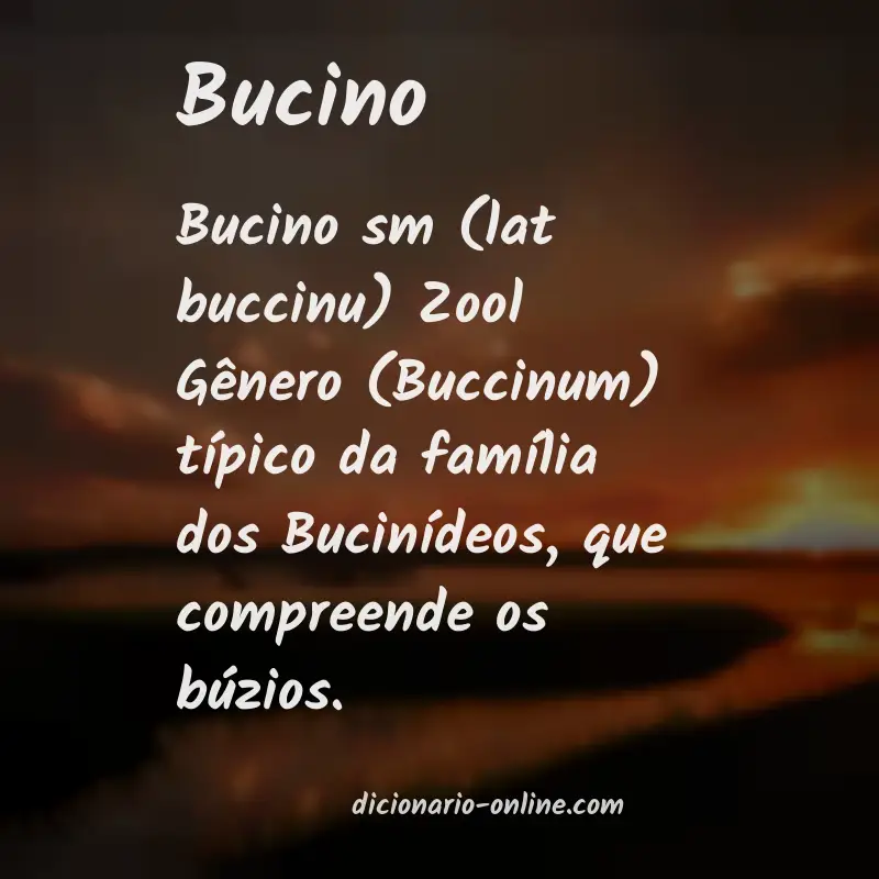 Significado de bucino