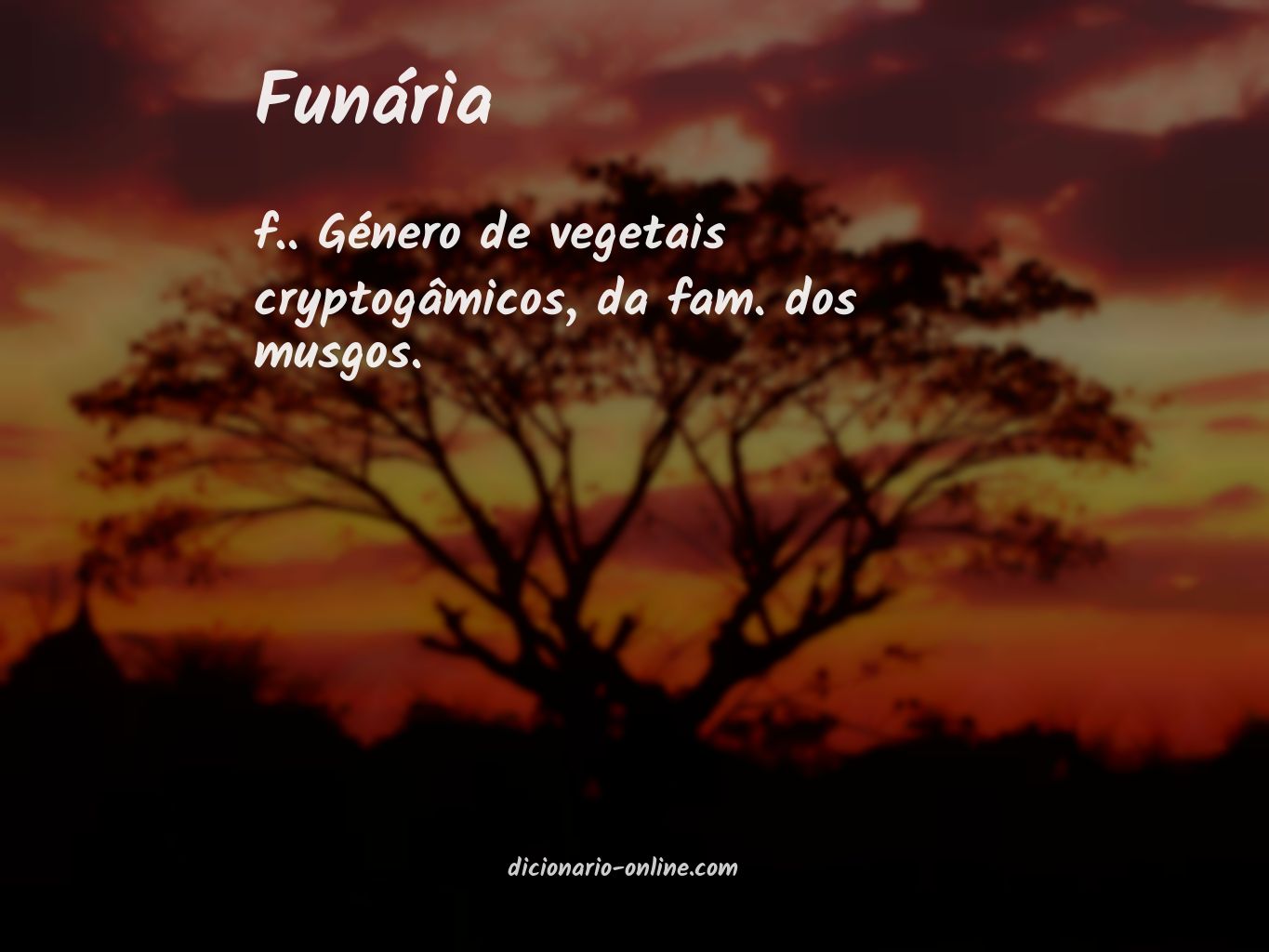 Significado de funária