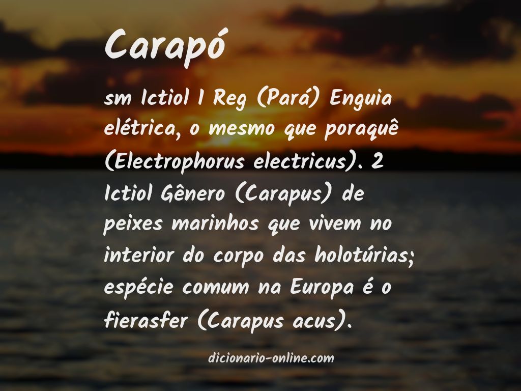 Significado de carapó