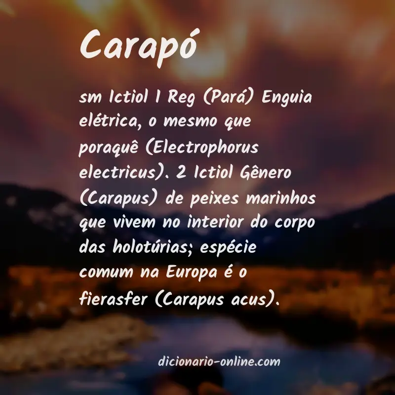 Significado de carapó