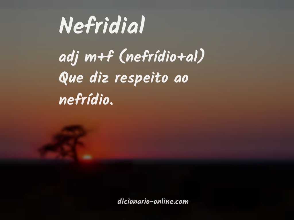 Significado de nefridial