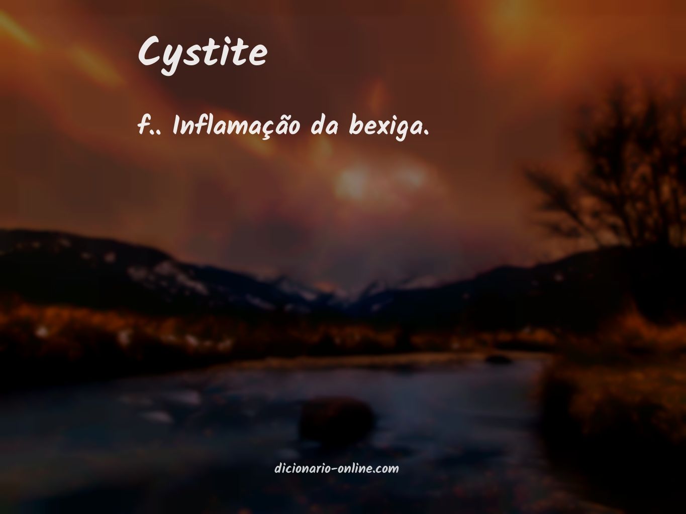 Significado de cystite