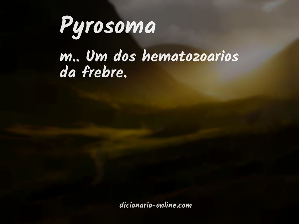Significado de pyrosoma