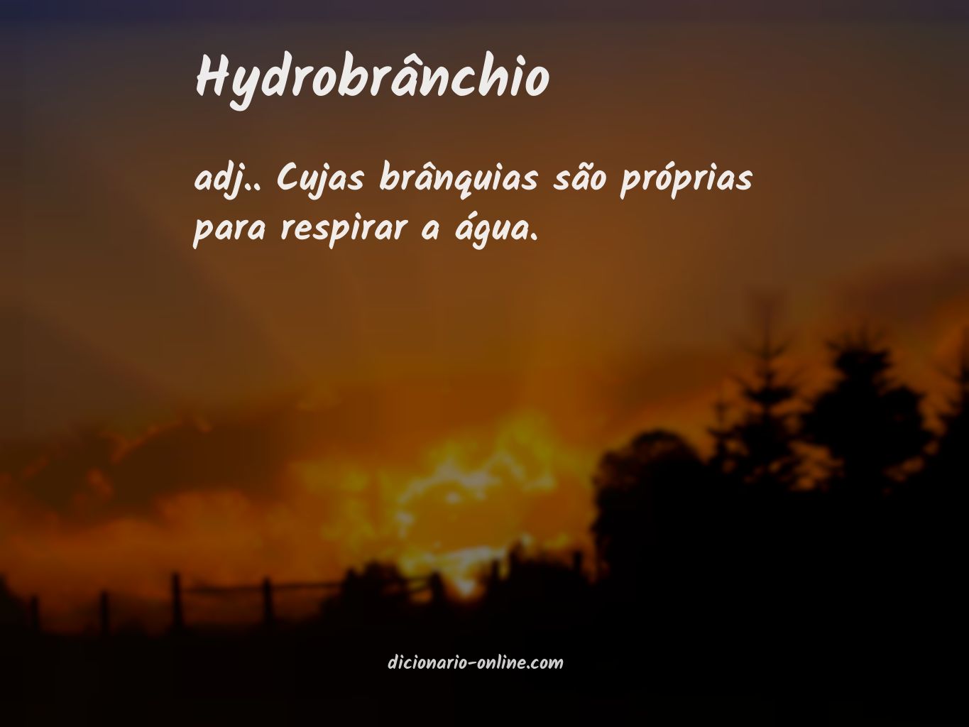 Significado de hydrobrânchio