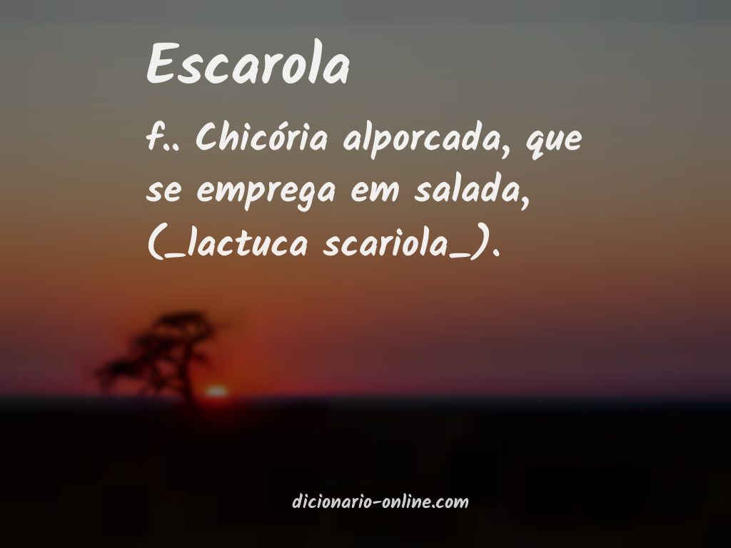 Significado de escarola