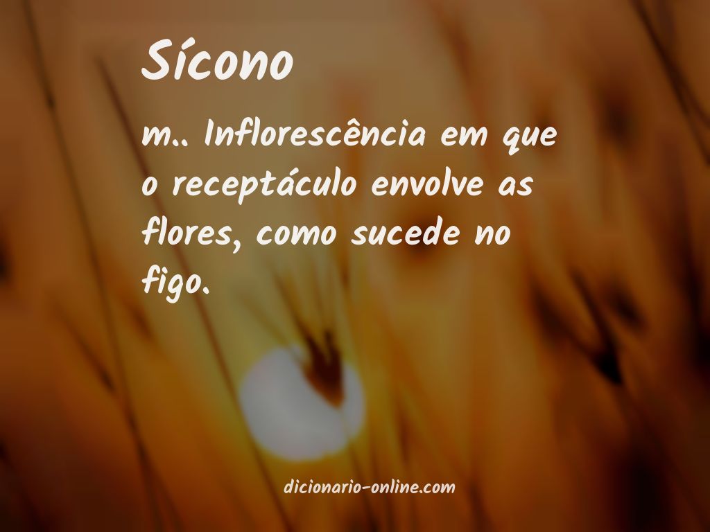 Significado de sícono