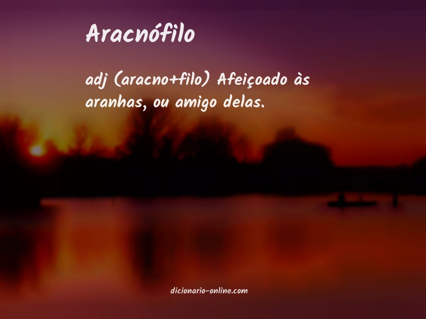 Significado de aracnófilo