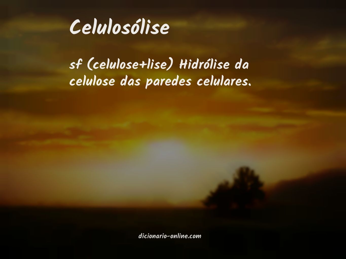Significado de celulosólise
