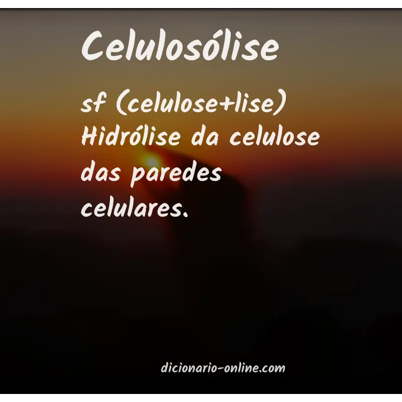 Significado de celulosólise
