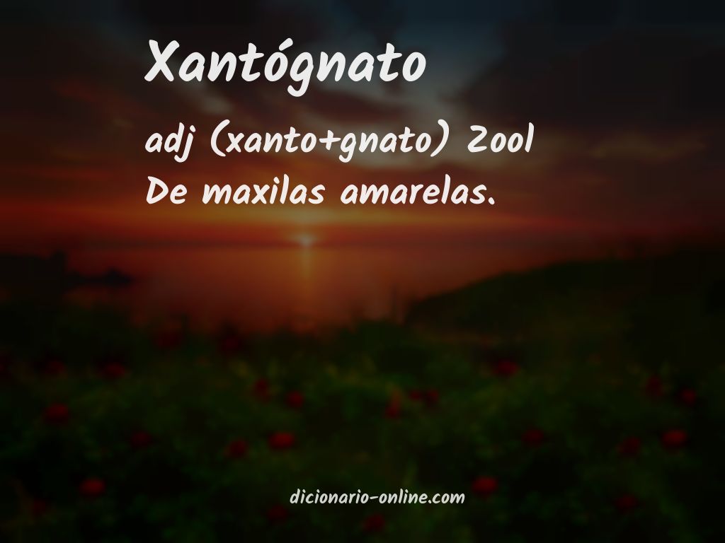 Significado de xantógnato