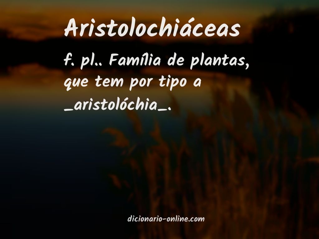 Significado de aristolochiáceas