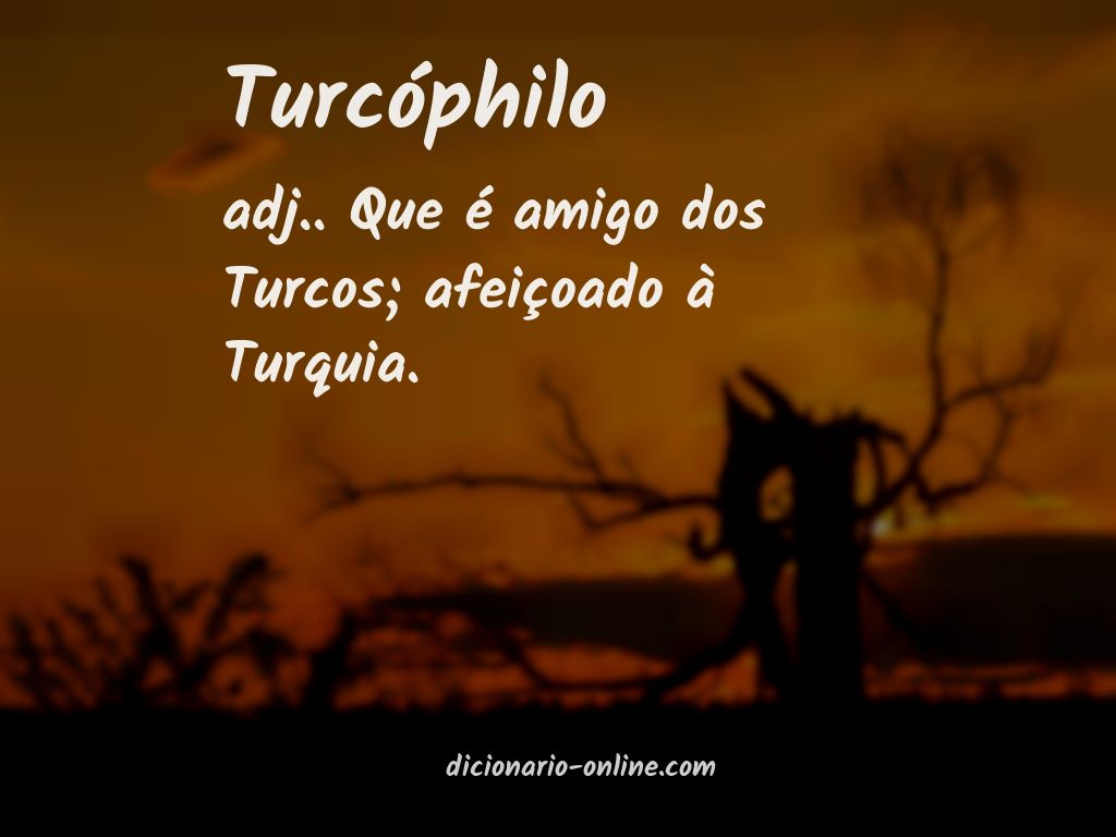 Significado de turcóphilo