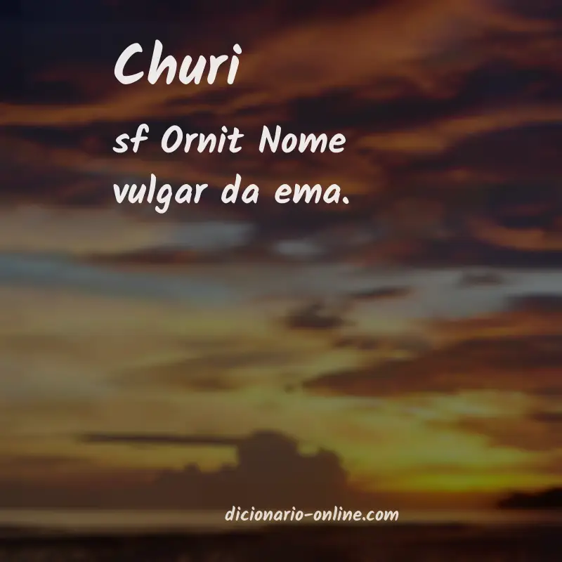 Significado de churi