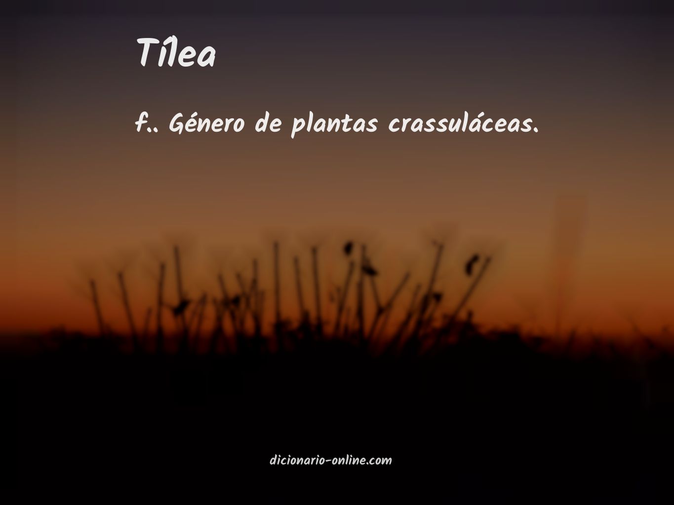 Significado de tílea