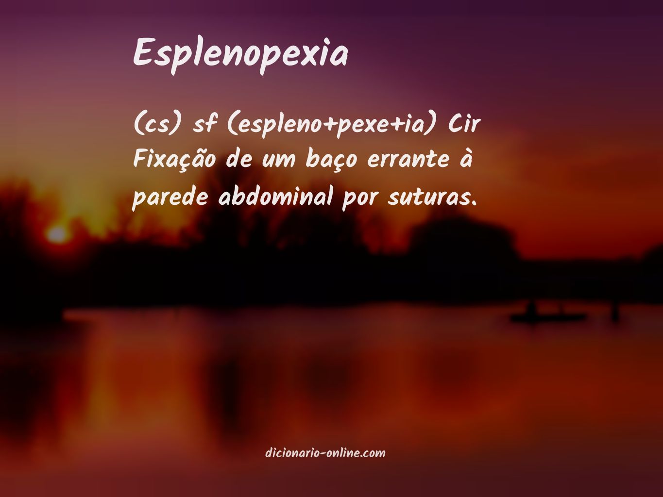 Significado de esplenopexia