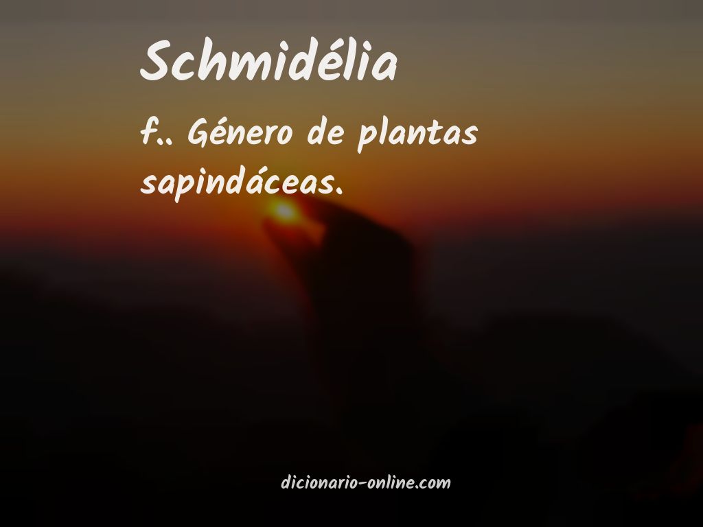 Significado de schmidélia