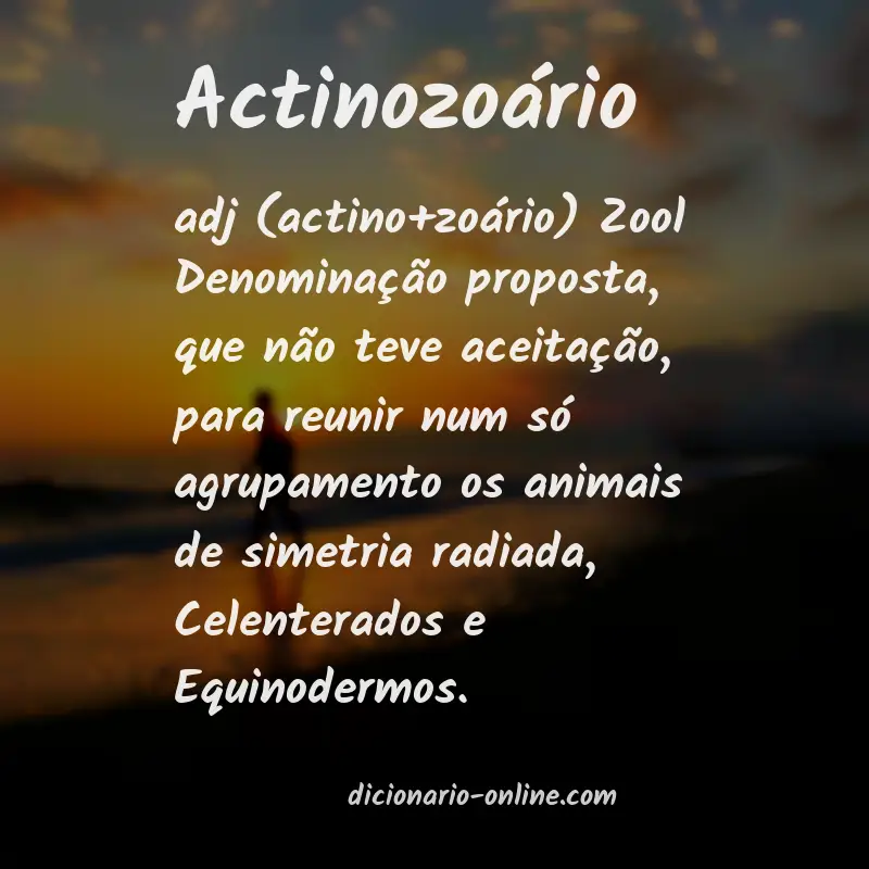 Significado de actinozoário