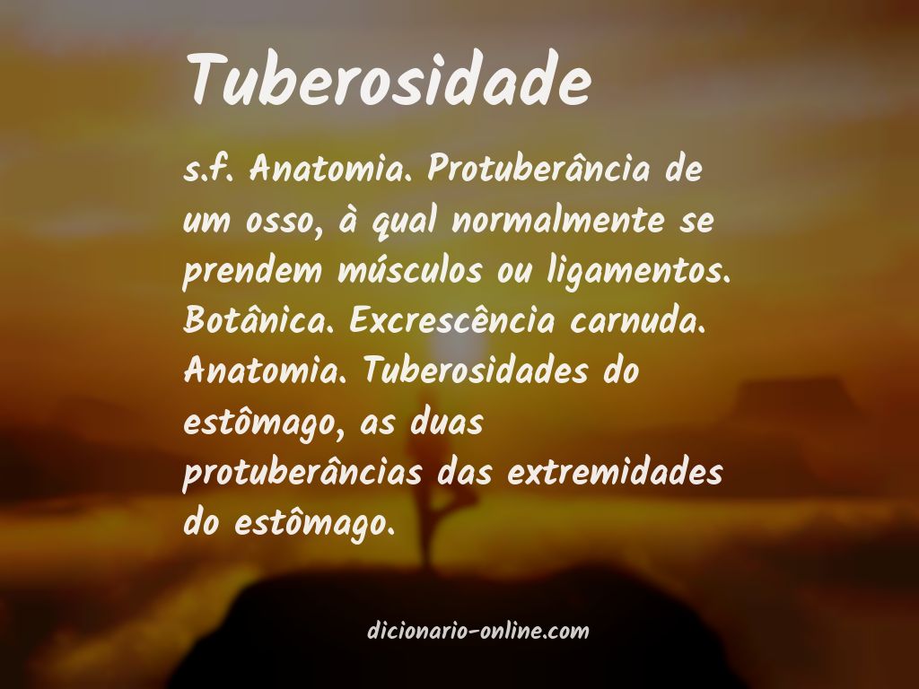 Significado de tuberosidade