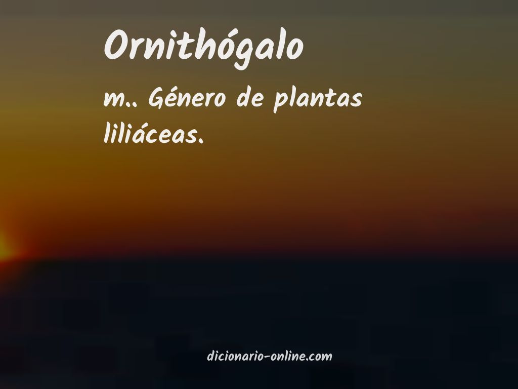 Significado de ornithógalo