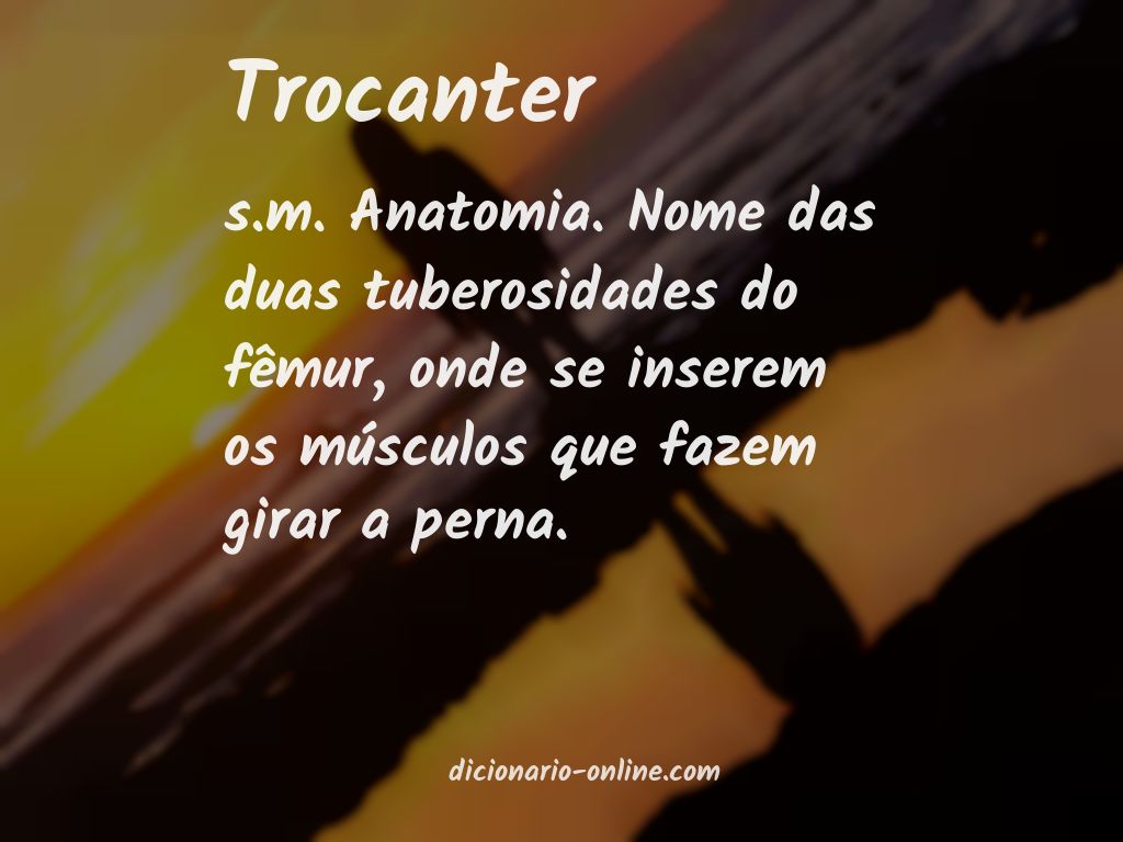 Significado de trocanter