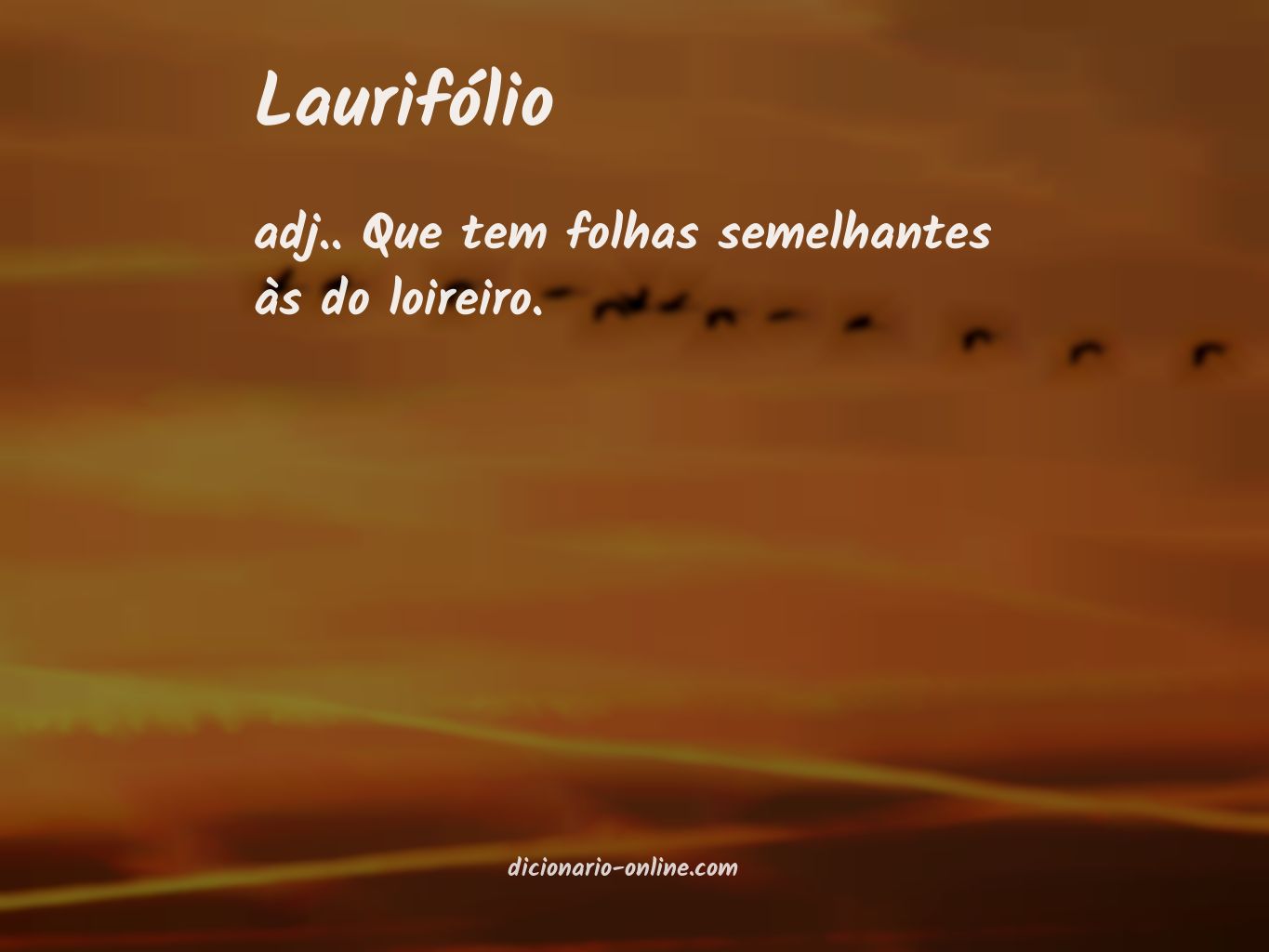 Significado de laurifólio