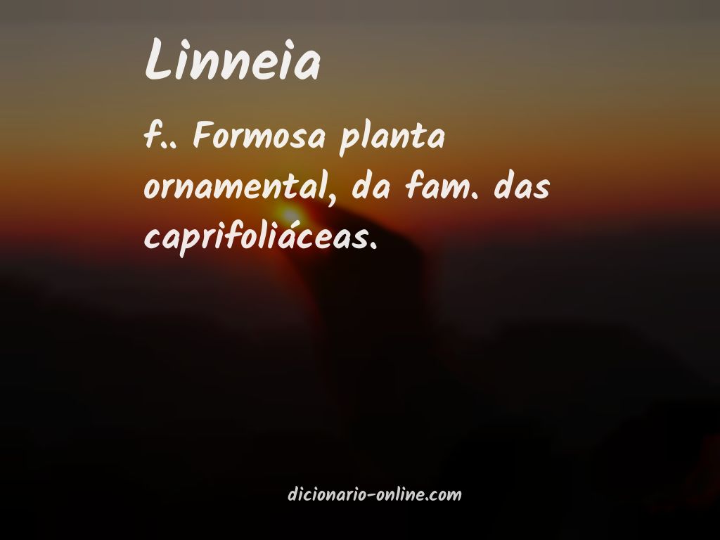 Significado de linneia