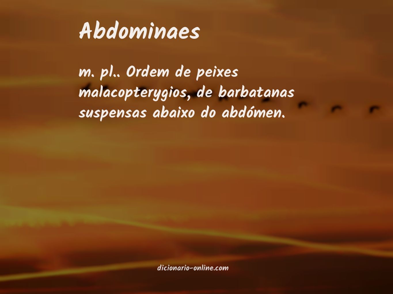 Significado de abdominaes