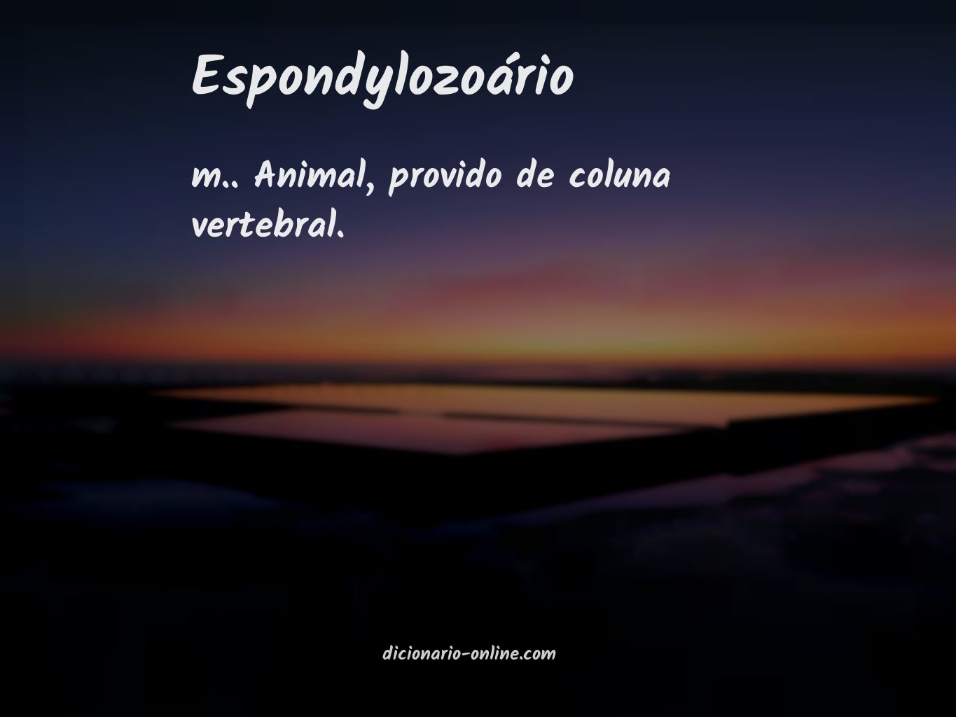 Significado de espondylozoário