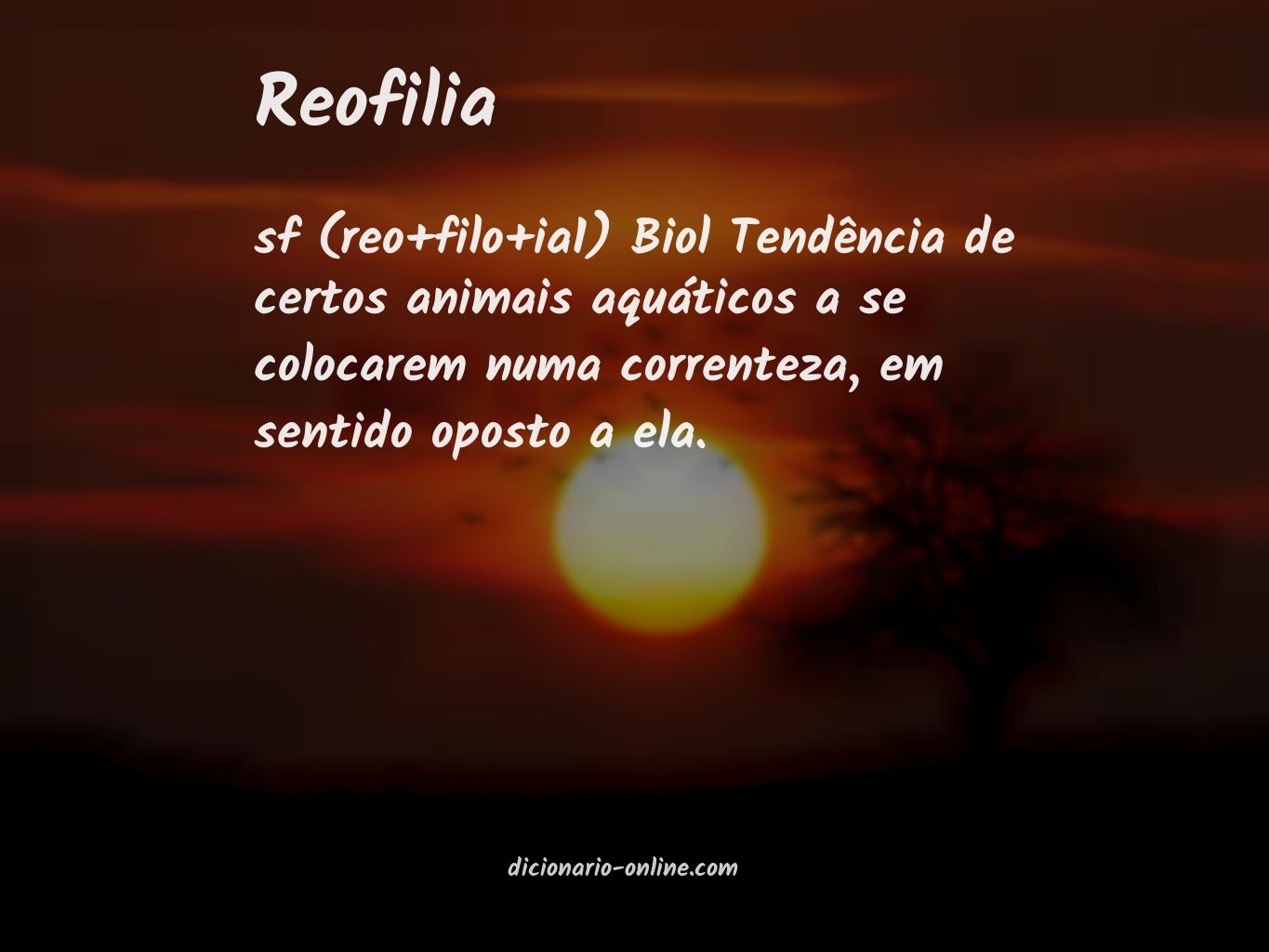 Significado de reofilia