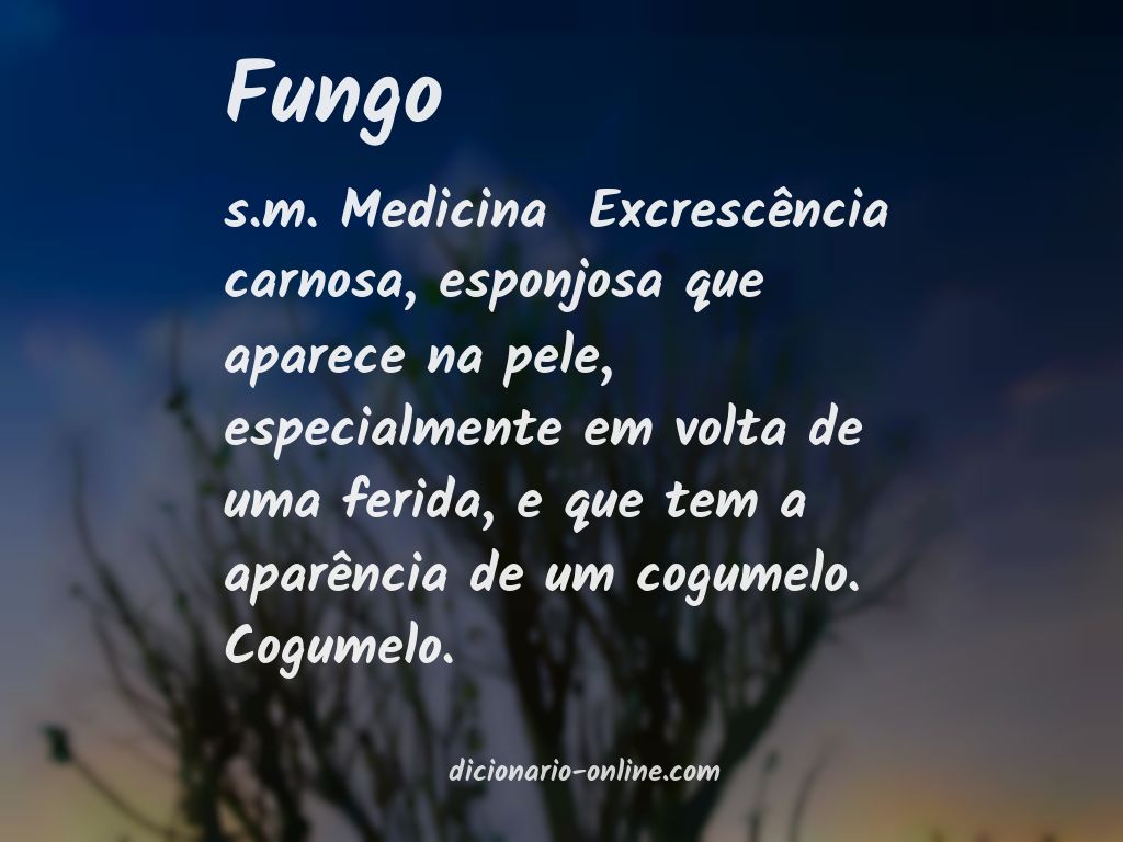 Significado de fungo