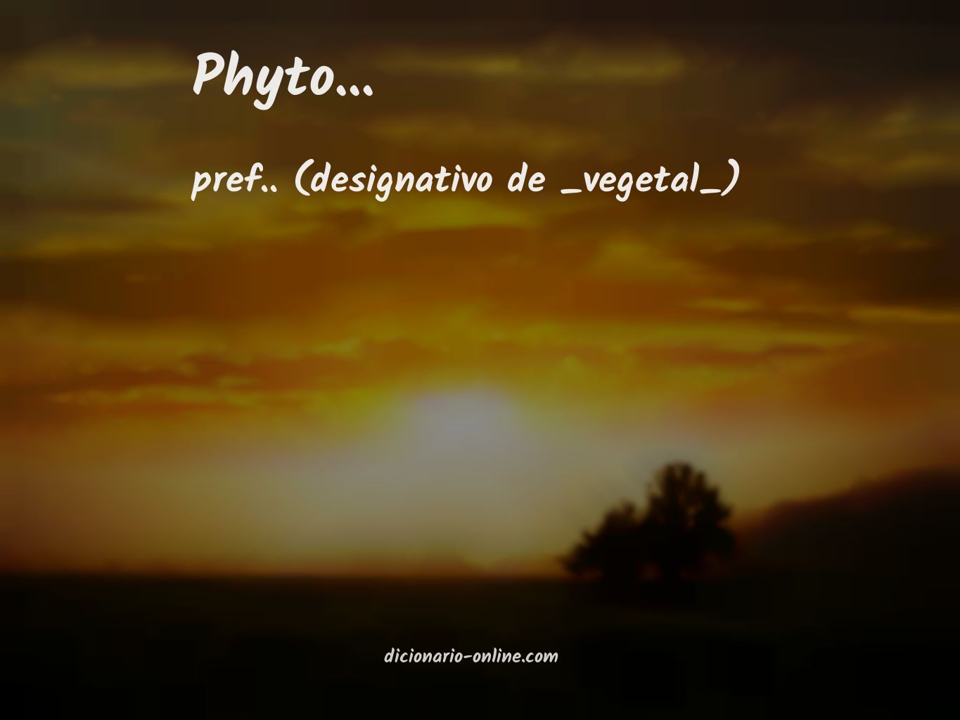 Significado de phyto...