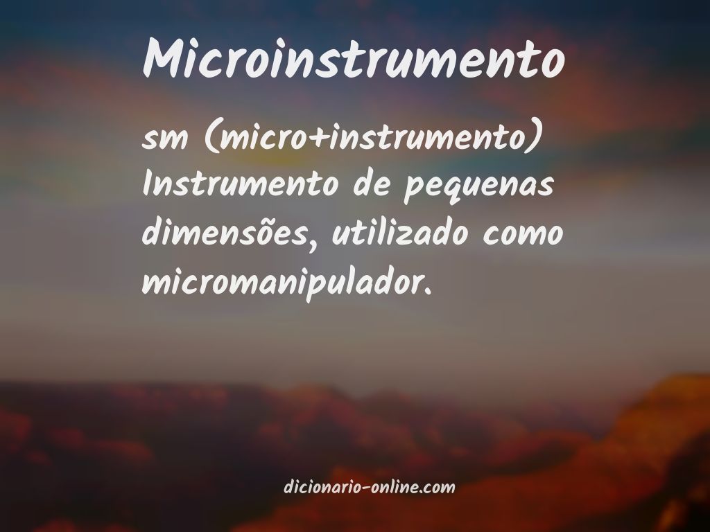 Significado de microinstrumento