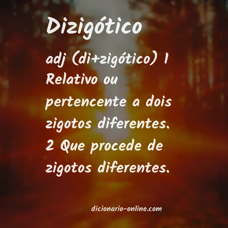 Significado de dizigótico