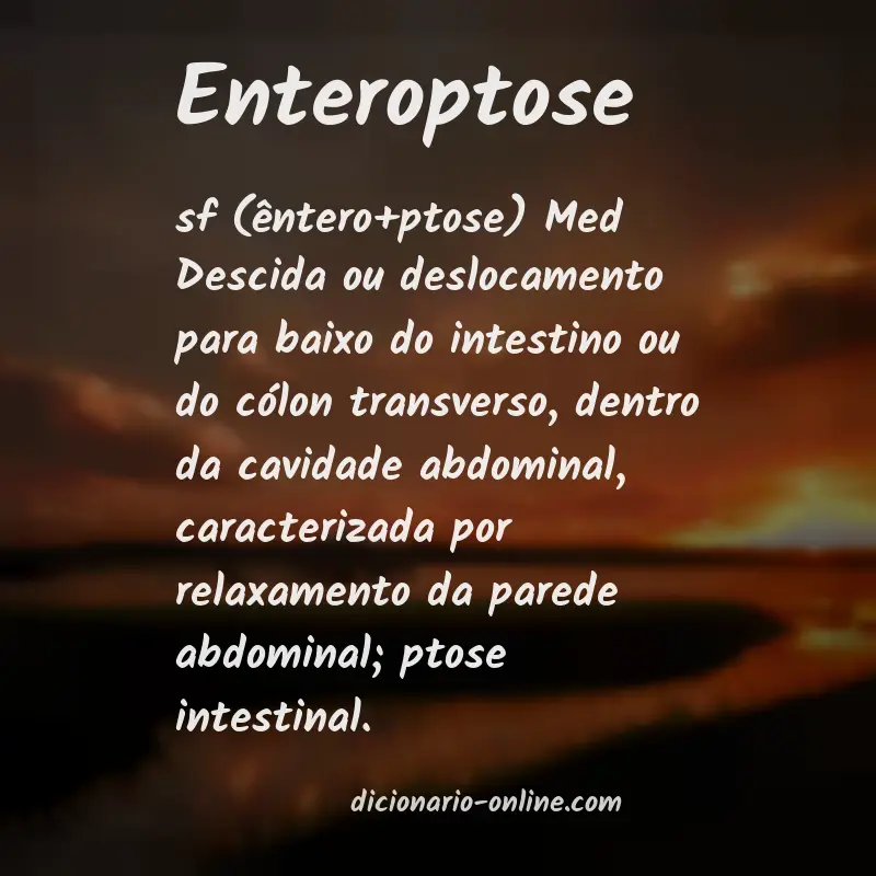 Significado de enteroptose