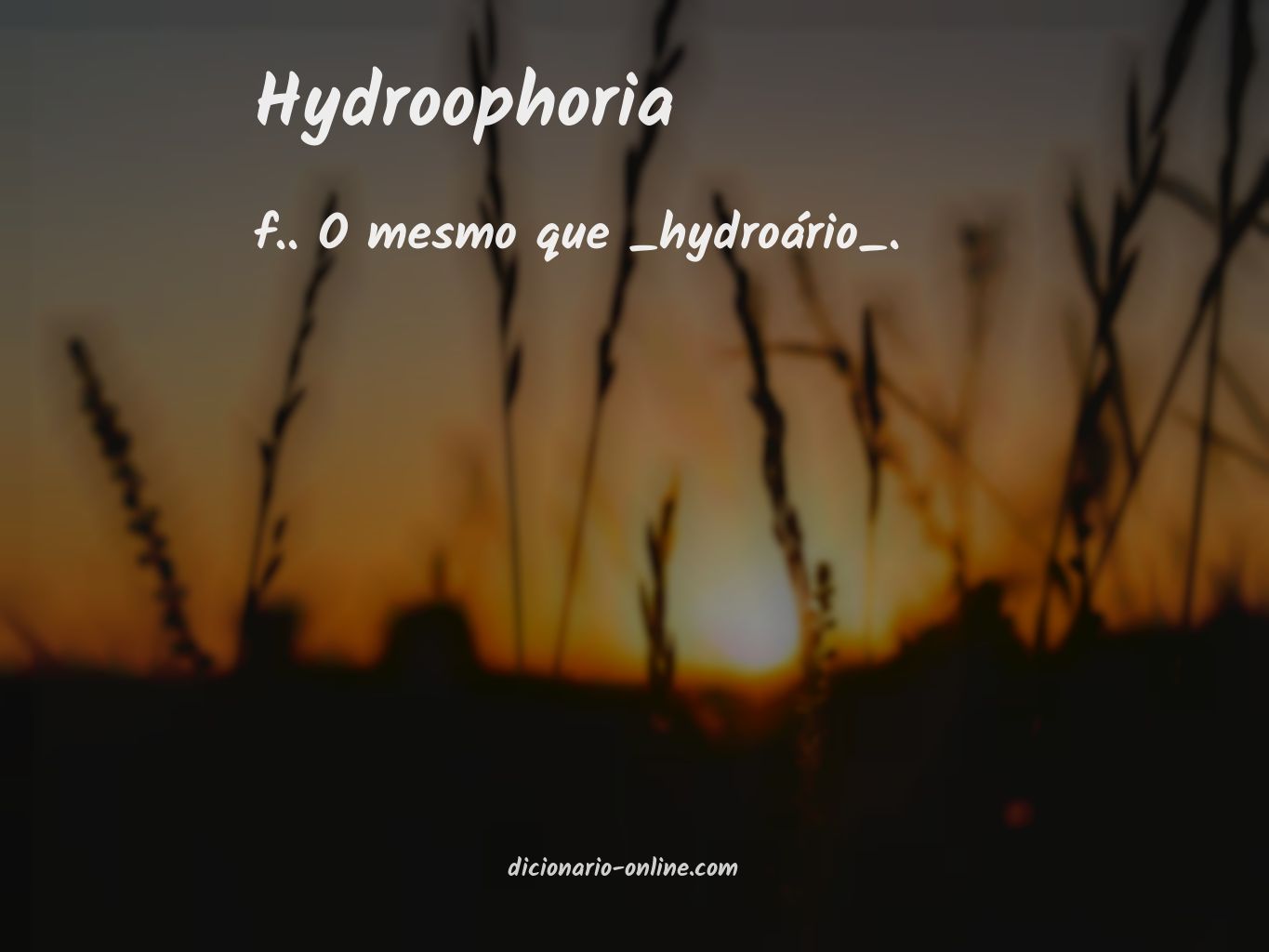 Significado de hydroophoria