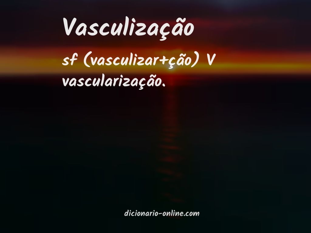 Significado de vasculização