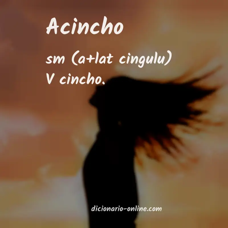 Significado de acincho
