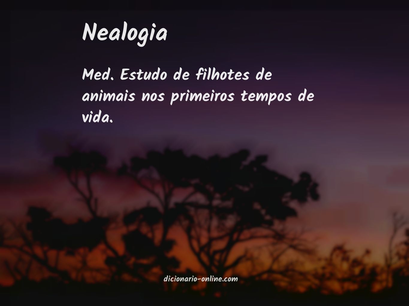 Significado de nealogia