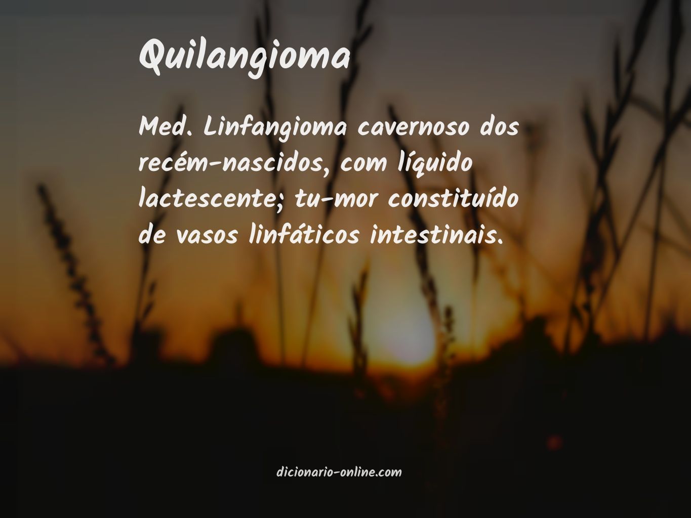 Significado de quilangioma