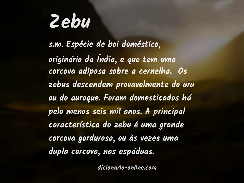 Significado de zebu