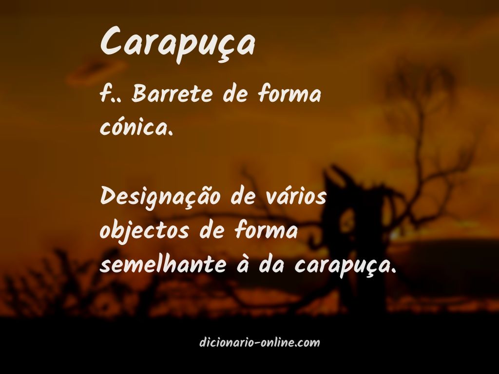 Significado de carapuça