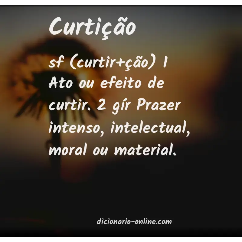Significado de curtição