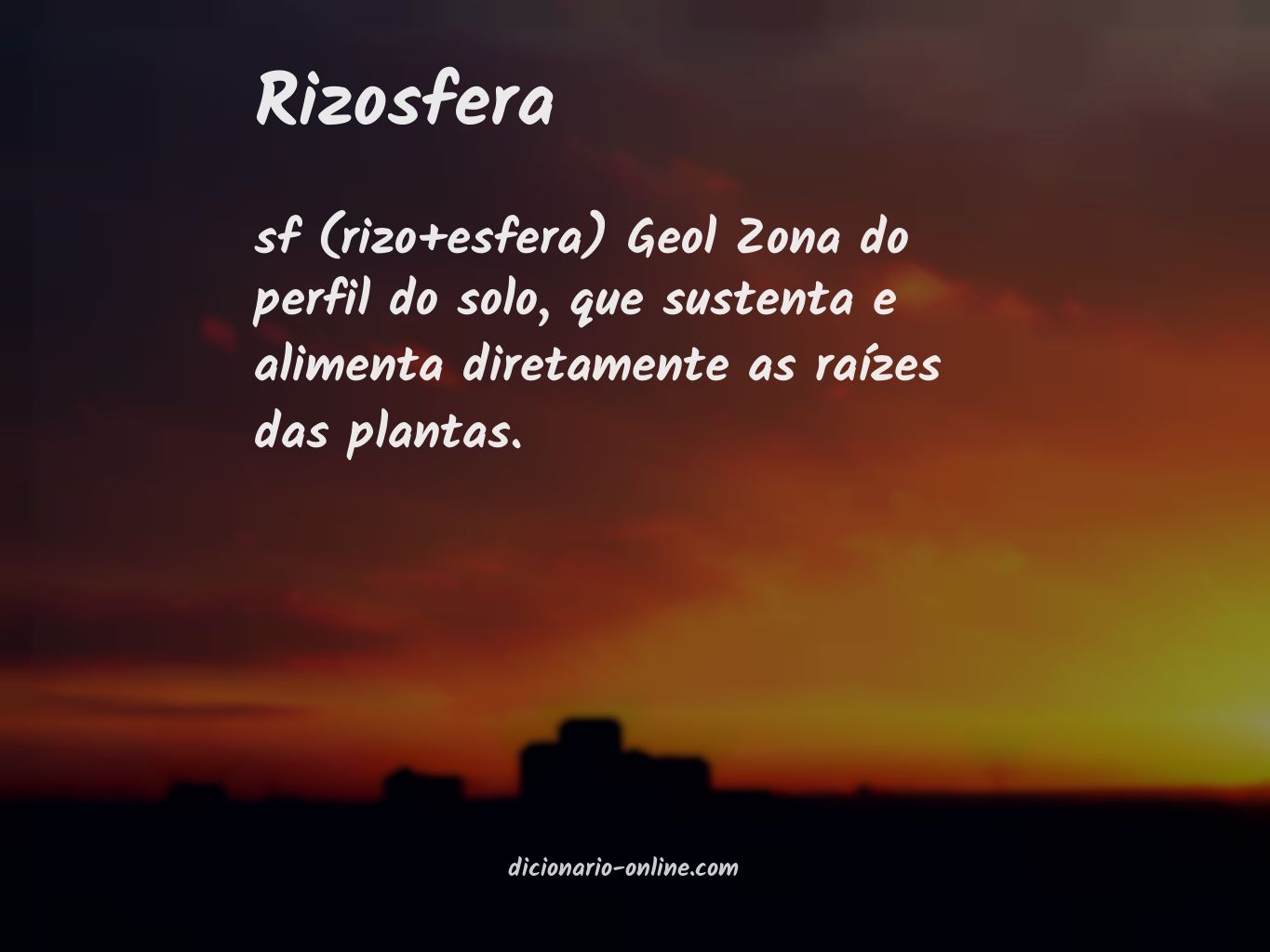 Significado de rizosfera