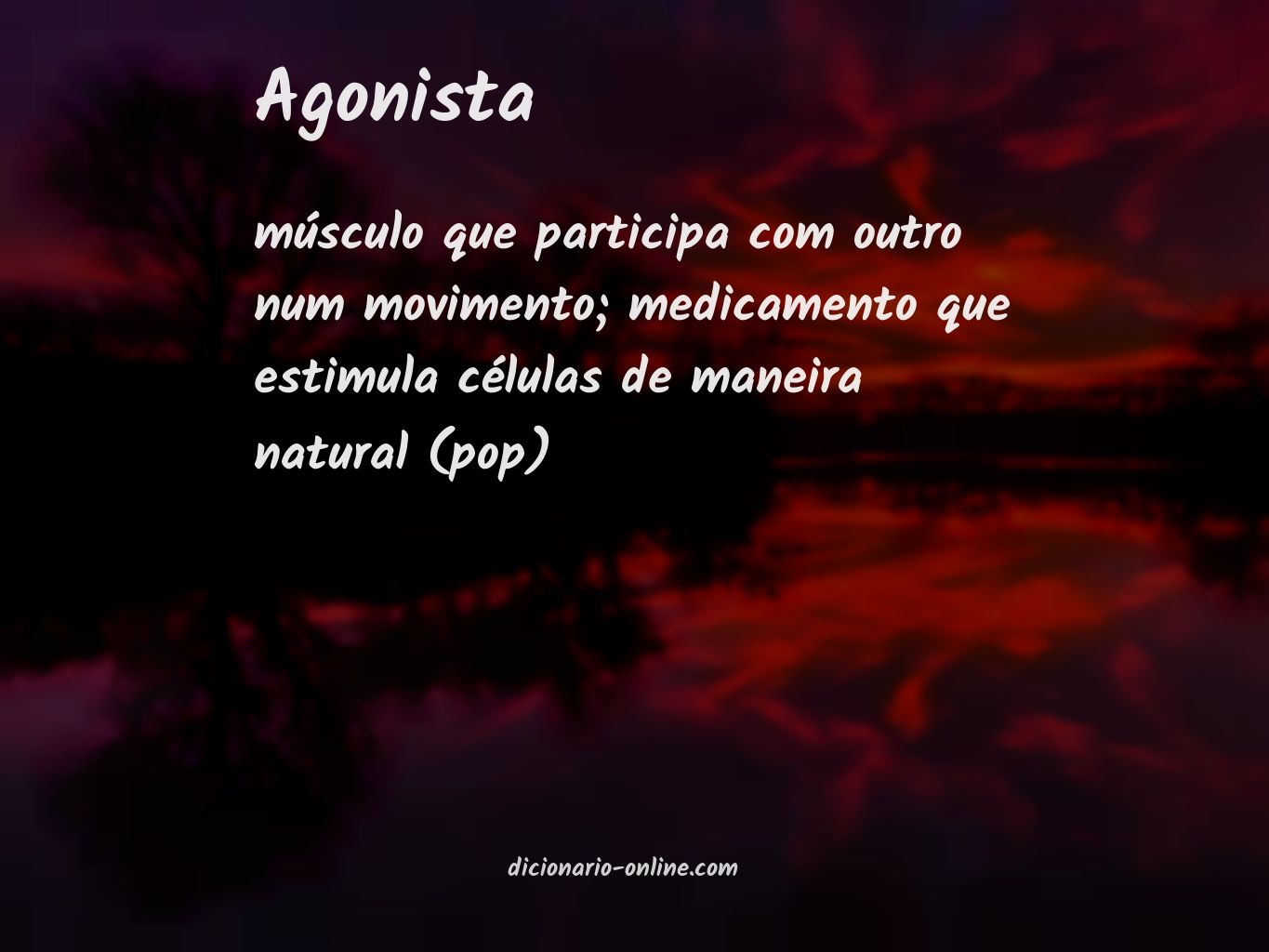 Significado de agonista